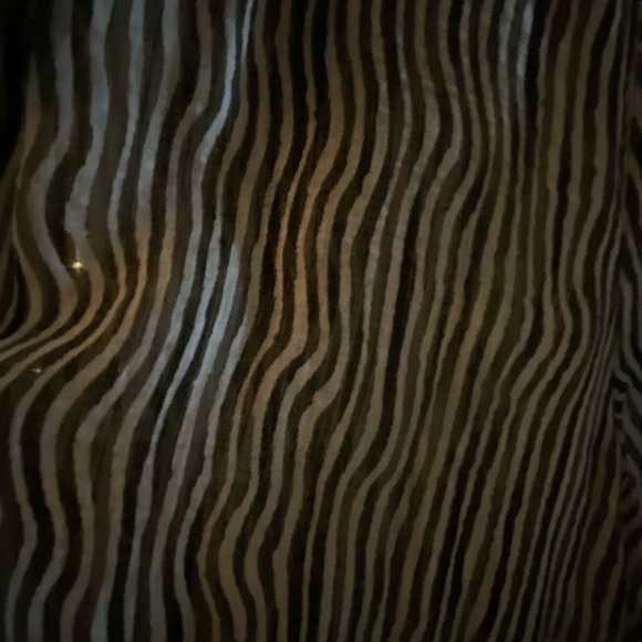 Structured collar button down - Picture 4 of 5